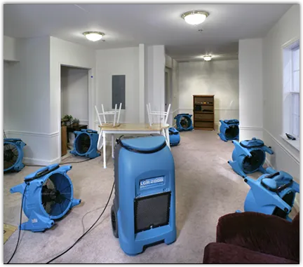 Water Damage Assessment in Rock Falls, IL