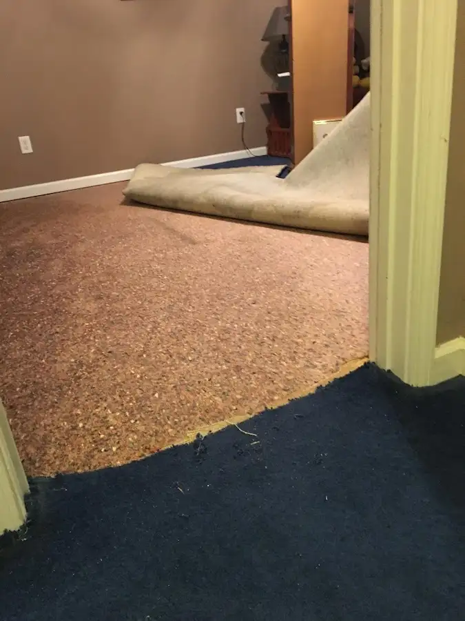 Carpet pad removal revealing water damage during Drying & Dehumidification in Rock Falls