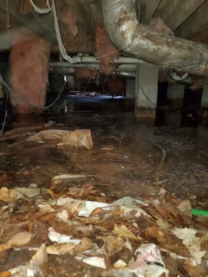 Crawl space flood assessment for Leak Detection & Repair in Rock Falls